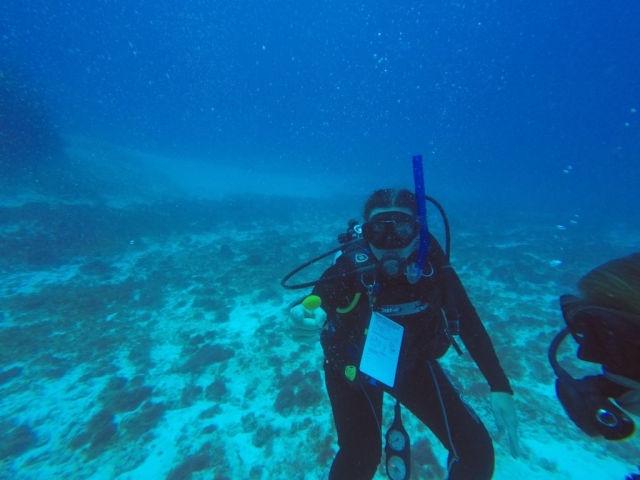  nager avec le requin 